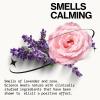 imagePacifica Beauty Lavender Moon Body Wash with Pump Bath and Shower Gel Hyaluronic Acid Rose Chamomile Moisturizing Hydrating Cleansing Soothing Calming Relaxing Vegan 12 fl oz 1 CountLavender Moon