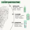 imagePACIFICA Rosemary Detox Scalp Scrub by Pacifica for Women  4 oz Scrub White4 Fl Oz Pack of 1