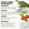 imagePACIFICA Rosemary Detox Scalp Scrub by Pacifica for Women  4 oz Scrub White4 Fl Oz Pack of 1