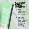 imagePacifica Beauty Pineapple Curls Defining Natural Conditioner For Curly Coily and Textured Hair Types Pineapple Scent Sulfate Free and Silicone Free 100 Vegan and Cruelty FreeRosemary Purify