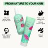 imagePacifica Beauty Salty Waves Texturizing Shampoo  Texturizing Conditioner  For All Hair Types  Perfect and Effortless Beach Hair  100 Vegan ampamp Cruelty Free  Sulfate  Paraben FreeMint