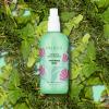 imagePacifica Beauty Salty Waves Texturizing Shampoo  Texturizing Conditioner  For All Hair Types  Perfect and Effortless Beach Hair  100 Vegan ampamp Cruelty Free  Sulfate  Paraben FreeMint