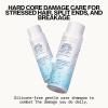 imagePacifica Beauty Salty Waves Texturizing Shampoo  Texturizing Conditioner  For All Hair Types  Perfect and Effortless Beach Hair  100 Vegan ampamp Cruelty Free  Sulfate  Paraben FreeCoco Peptide