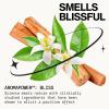 imagePacifica Indian Coconut Nectar Perfume Spray  Tropical Vanilla ampamp Coconut Fragrance Layerable Beachy Perfume for Women Clean NonToxic Vegan ampamp CrueltyFree Formula AllDay Long LastingBeach Day Salt  Sandalwood  Orange Flower  and Smoke Notes