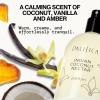 imagePacifica Indian Coconut Nectar Perfume Spray  Tropical Vanilla ampamp Coconut Fragrance Layerable Beachy Perfume for Women Clean NonToxic Vegan ampamp CrueltyFree Formula AllDay Long LastingIndian Coconut Nectar Warm  Tropical blend of Creamy Coconut and Sweet Madagascar Vanilla