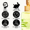 imagePacifica Indian Coconut Nectar Perfume Spray  Tropical Vanilla ampamp Coconut Fragrance Layerable Beachy Perfume for Women Clean NonToxic Vegan ampamp CrueltyFree Formula AllDay Long LastingTahitian Gardenia