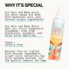 imagePacifica Island Vanilla Hair Mist Perfume and Full Body Spray for Women  Fragrance Spray for A MoodLifting Experience ParabenFree Clean Beauty No Alcohol Vegan ampamp CrueltyFree 6 oz ozIndian Coconut Nectar