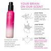 imagePacifica Island Vanilla Hair Mist Perfume and Full Body Spray for Women  Fragrance Spray for A MoodLifting Experience ParabenFree Clean Beauty No Alcohol Vegan ampamp CrueltyFree 6 oz ozNew Island Vanilla