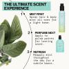 imagePacifica Island Vanilla Hair Mist Perfume and Full Body Spray for Women  Fragrance Spray for A MoodLifting Experience ParabenFree Clean Beauty No Alcohol Vegan ampamp CrueltyFree 6 oz ozNew Montana Sky
