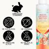 imagePacifica Island Vanilla Hair Mist Perfume and Full Body Spray for Women  Fragrance Spray for A MoodLifting Experience ParabenFree Clean Beauty No Alcohol Vegan ampamp CrueltyFree 6 oz ozIndian Coconut Nectar