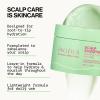 imagePacifica Mini Coco Bond Damage Care LeaveIn Mask  Bond Repair Hair Treatment for Damaged Hair Concentrated TravelSize LeaveIn Conditioner Restores Strength ampamp Shine Vegan ampamp CrueltyFree 14ozScalp Smoothie