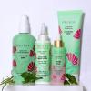 imagePacifica Rosemary Mint Scalp Detox Shampoo  Clarifying Shampoo for Dry Flaky Scalp Removes Buildup ampamp Excess Oil Invigorating Rosemary  Mint Clean Beauty Vegan Dermatologist TestedRosemary Mint Scalp Love