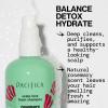 imagePacifica Rosemary Mint Scalp Detox Shampoo  Clarifying Shampoo for Dry Flaky Scalp Removes Buildup ampamp Excess Oil Invigorating Rosemary  Mint Clean Beauty Vegan Dermatologist TestedRosemary Mint Scalp Love