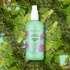 imagePacifica Rosemary Mint Scalp Detox Shampoo  Clarifying Shampoo for Dry Flaky Scalp Removes Buildup ampamp Excess Oil Invigorating Rosemary  Mint Clean Beauty Vegan Dermatologist TestedRosemary Mint Scalp Love