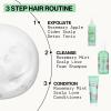 imagePacifica Rosemary Mint Scalp Detox Shampoo  Clarifying Shampoo for Dry Flaky Scalp Removes Buildup ampamp Excess Oil Invigorating Rosemary  Mint Clean Beauty Vegan Dermatologist TestedRosemary Mint Scalp Love