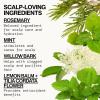 imagePacifica Rosemary Mint Scalp Detox Shampoo  Clarifying Shampoo for Dry Flaky Scalp Removes Buildup ampamp Excess Oil Invigorating Rosemary  Mint Clean Beauty Vegan Dermatologist TestedRosemary Mint Scalp Love