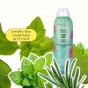 imagePacifica Rosemary Mint Scalp Refresher Spray 5oz  Cooling Daily Scalp Treatment for Itchy Dry Scalp Refreshes ampamp Moisturizes Vegan LeaveIn Hair Mist for All Hair Types NonGreasy CrueltyFree