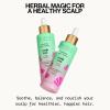 imagePacifica Scalp Detox Set  Rosemary Apple Cider Vinegar Scalp Exfoliating Tonic with Scalp Massager Brush Deep Cleansing ampamp Clarifying Treatment for Buildup Dry Flaky Scalp VeganScalp Care Set