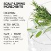 imagePacifica Scalp Detox Set  Rosemary Apple Cider Vinegar Scalp Exfoliating Tonic with Scalp Massager Brush Deep Cleansing ampamp Clarifying Treatment for Buildup Dry Flaky Scalp VeganScalp Serum