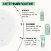imagePacifica Scalp Detox Set  Rosemary Apple Cider Vinegar Scalp Exfoliating Tonic with Scalp Massager Brush Deep Cleansing ampamp Clarifying Treatment for Buildup Dry Flaky Scalp VeganSerum  Detox