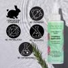 imagePacifica Scalp Detox Set  Rosemary Apple Cider Vinegar Scalp Exfoliating Tonic with Scalp Massager Brush Deep Cleansing ampamp Clarifying Treatment for Buildup Dry Flaky Scalp VeganScalp Detox Tonic