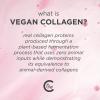 imagePacifica Vegan Collagen Overnight Face ampamp Eye Cream Set of 2  Night Cream  AntiAging Lotion  Plumping Collagen Moisturizer ampamp Undereye Treatment Infused wHyaluronic Acid ampamp Caffeine Hydrates ampamp FirmFace Cream  Eye Cream Set