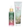 imagePacifica Scalp Detox Set  Rosemary Apple Cider Vinegar Scalp Exfoliating Tonic with Scalp Massager Brush Deep Cleansing ampamp Clarifying Treatment for Buildup Dry Flaky Scalp VeganSerum  Detox