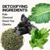 imagePacifica Super Green Detox Sheet Mask  Charcoal Kale ampamp Clay Pore Cleansing Mask for Oily BlemishProne Skin Deep Detox Facial Mask Vegan1 Count Pack of 12