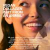 imagePacifica Vegan Collagen Hydrate ampamp Plump Face Mask 4Pack  Hydrating ampamp Plumping PeptideInfused Sheet Mask for Dewy Skin with Vegan Collagen Cucumber ampamp Aloe Clean Beauty Skincare1 Count Pack of 12