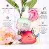 imagePacifica Vitamin C Face Serum  Glow Baby Booster Facial Serum  Glycolic Acid Serum For Face  Dark Spot Corrector Anti Aging Brightening  Dermatologist Tested Fragrance Free Clean Skin Care VeganFuture Youth Gravity Rebound