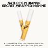 imagePacifica Plumping Lip Gloss  Vanilla Bean Creamy Neutral Tint Hydrating Lip Oil Balm Gentle Lip Plumper wShea ampamp Jojoba NoSting High Shine Vegan ampamp CrueltyFree Clean Beauty 014oz