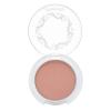 image:imagePacifica Beauty Blushious Coconut amp Rose Infused Cheek Color Wild Rose 010 OunceCamellia